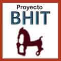 Proyecto BHIT